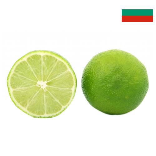 лайм из Болгарии