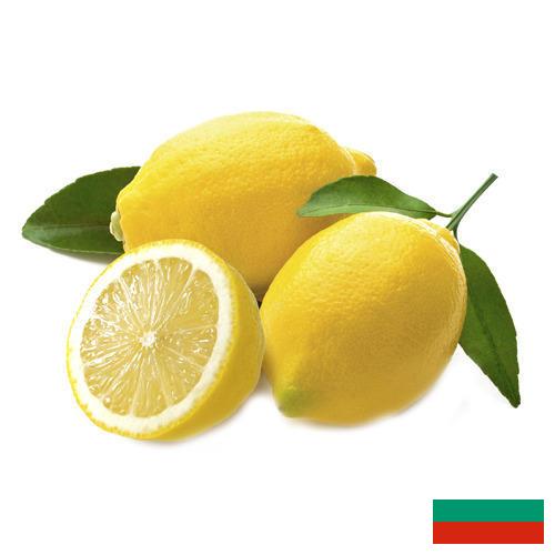 лимон свежий из Болгарии