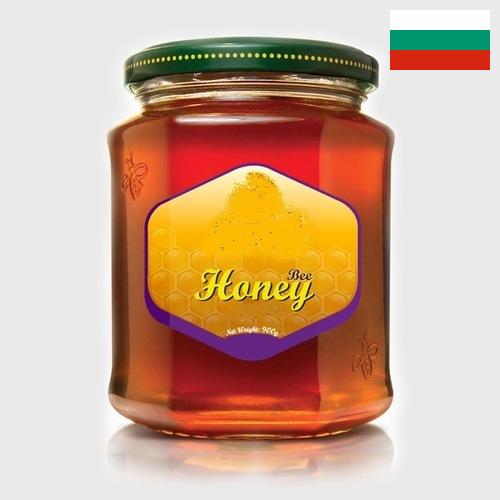 мед натуральный из Болгарии