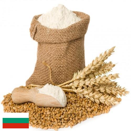 мука пшеничная высший из Болгарии