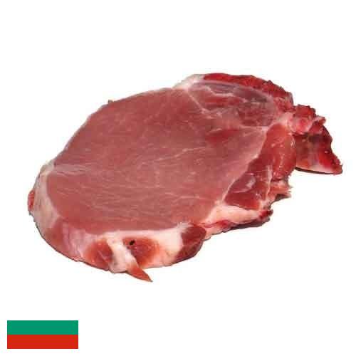 мясо свинина из Болгарии