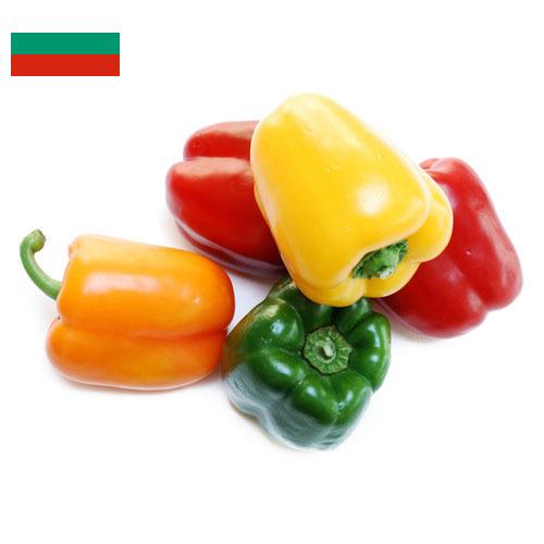 перец болгарский свежий из Болгарии