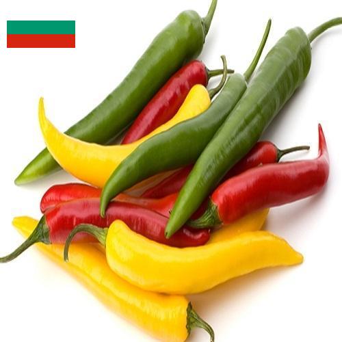 Перец чили из Болгарии