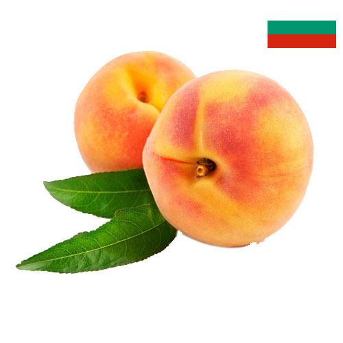 Персики из Болгарии