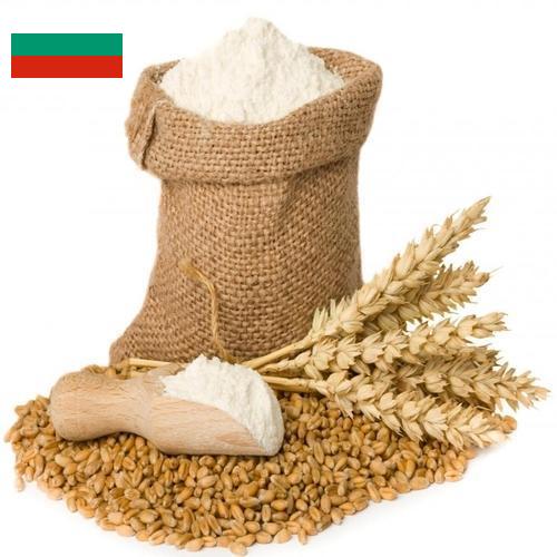 Пшеничная мука из Болгарии