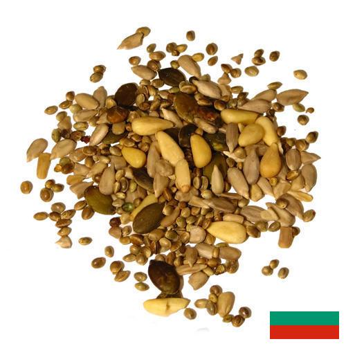 Семена из Болгарии