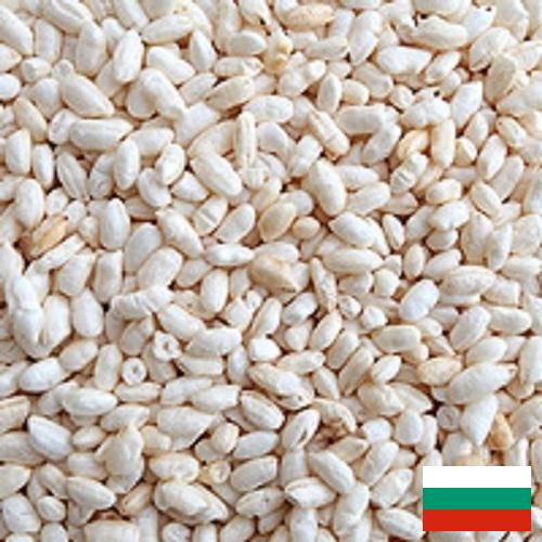 Воздушный рис из Болгарии