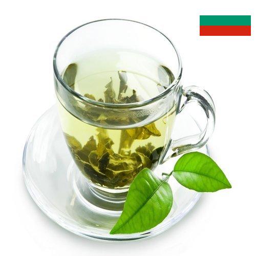 Зеленый чай из Болгарии