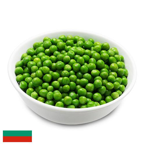 Зеленый горошек из Болгарии