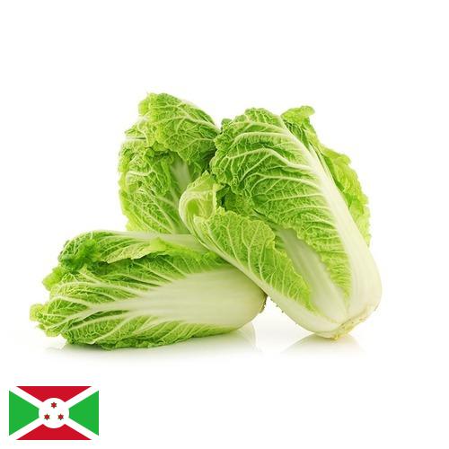 капуста пекинская Бурунди