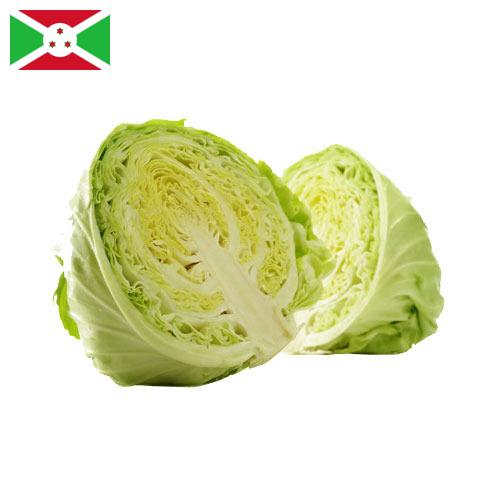 Капуста Бурунди