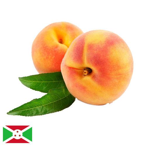 Персики Бурунди