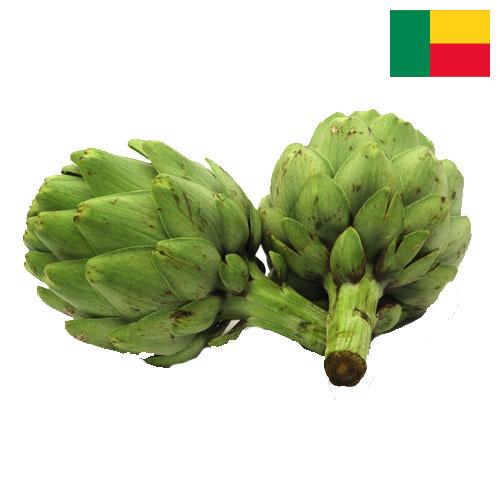 артишок из Бенина