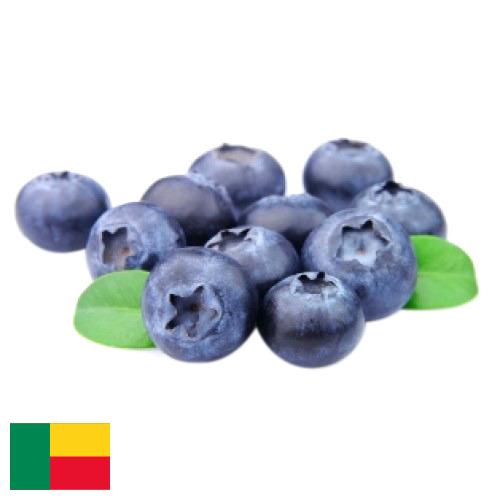 Черника из Бенина