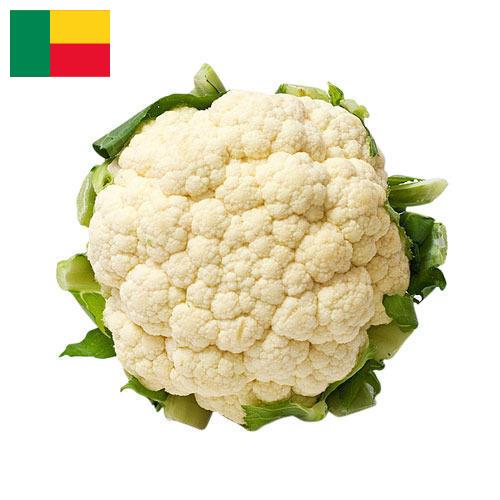 Капуста цветная из Бенина