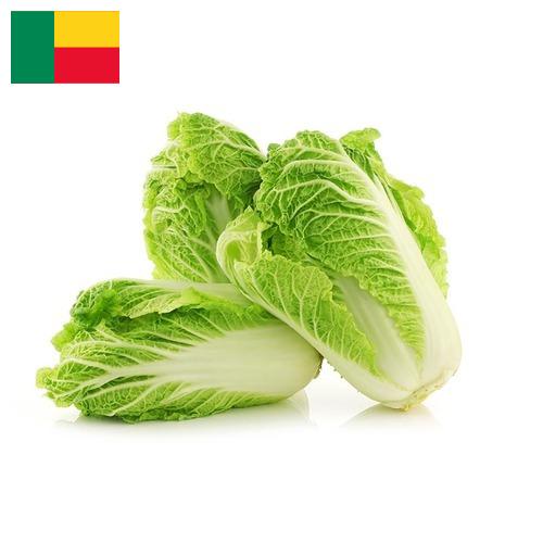 Капуста китайская из Бенина