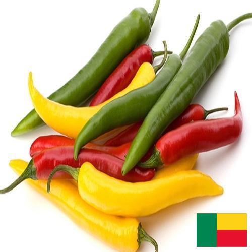 Перец чили из Бенина