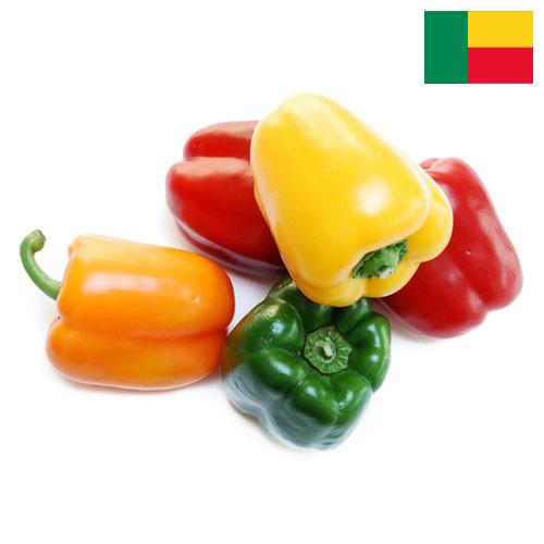 перец сладкий свежий из Бенина