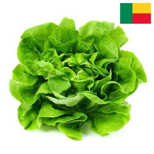 салат из Бенина