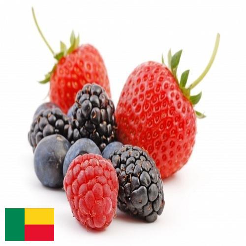 Ягоды из Бенина