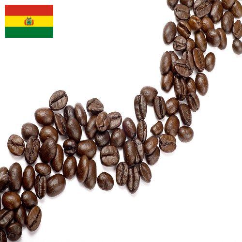 Кофе в зернах Боливия