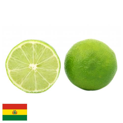 лайм Боливия