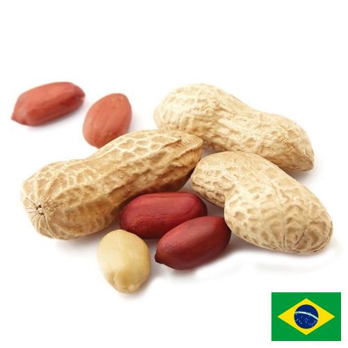 арахис очищенный из Бразилии