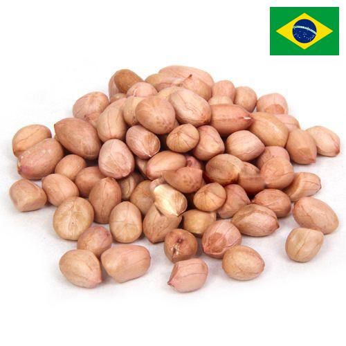 арахис сырой из Бразилии