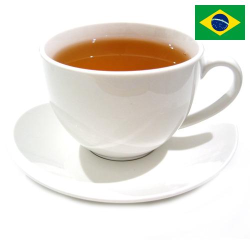 Чай из Бразилии