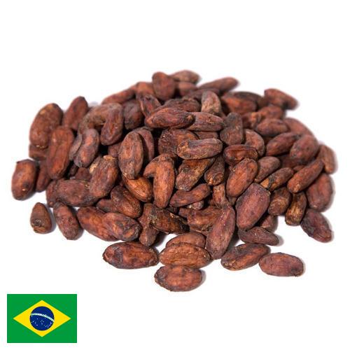 какао-бобы из Бразилии