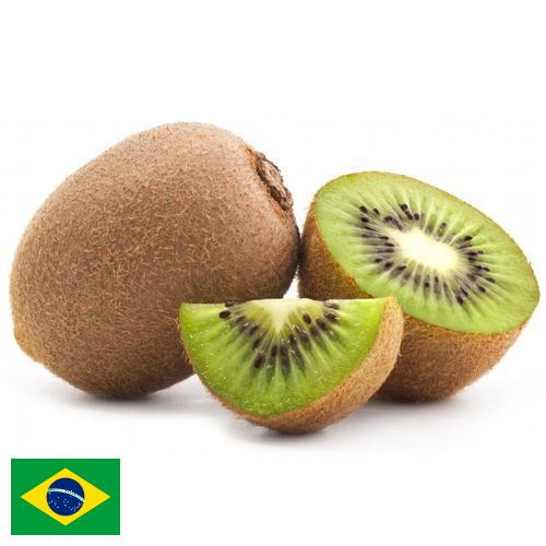 Киви из Бразилии