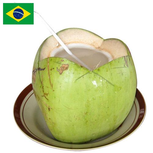 кокосовая вода из Бразилии