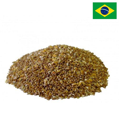 Корма для птицы из Бразилии