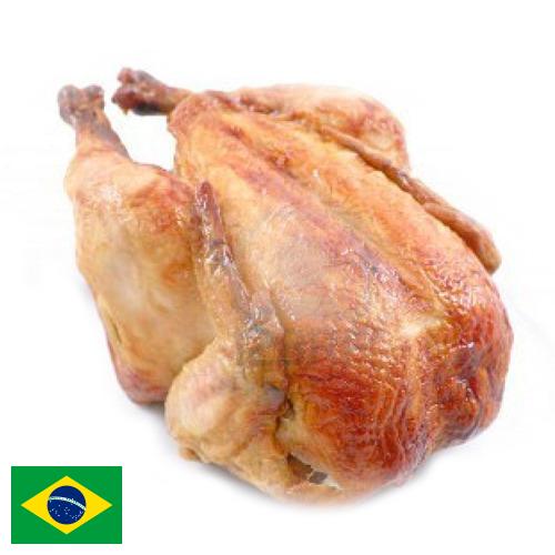 мясо куриное из Бразилии