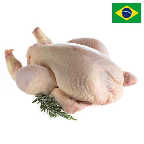 мясо птицы механической обвалки из Бразилии