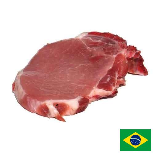 мясо свинина из Бразилии