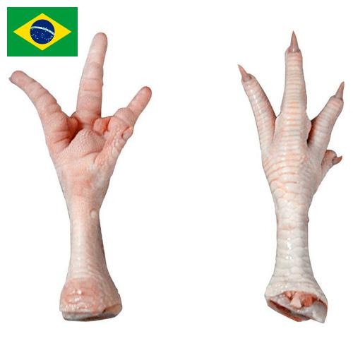 ноги куриные из Бразилии
