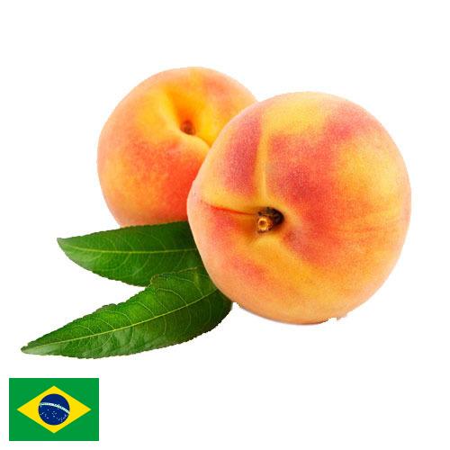 Персики из Бразилии