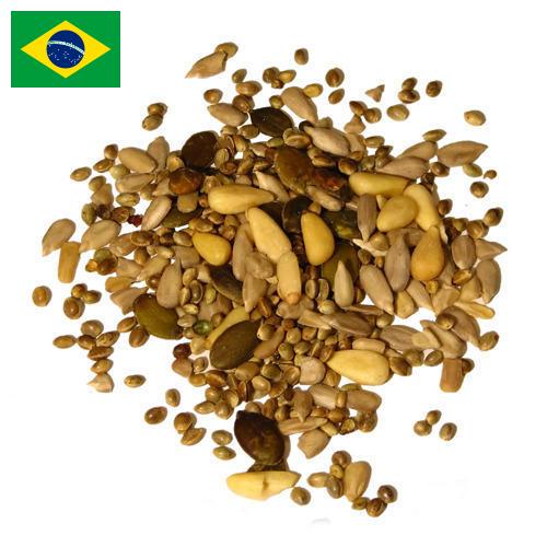 Семена из Бразилии