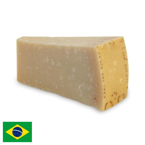 сыр пармезан из Бразилии