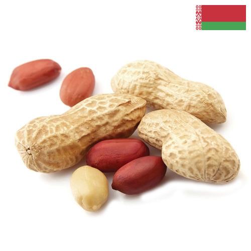 арахис очищенный из Беларуси