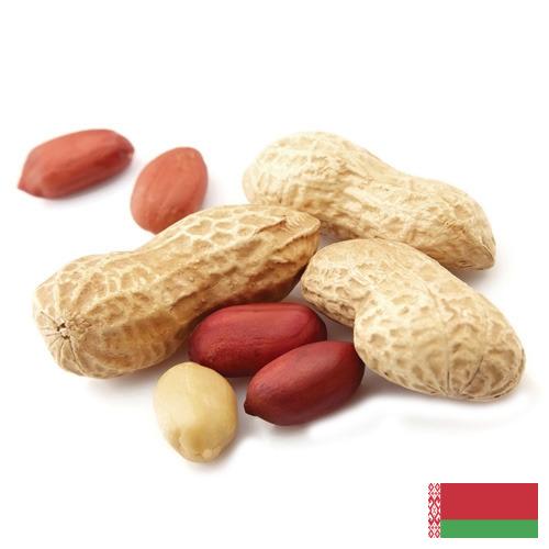 Арахис из Беларуси