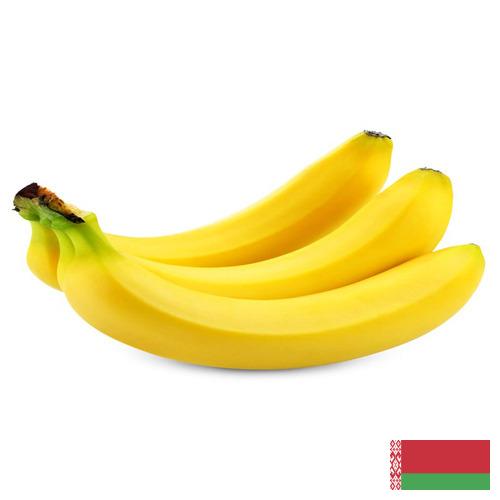 Бананы из Беларуси