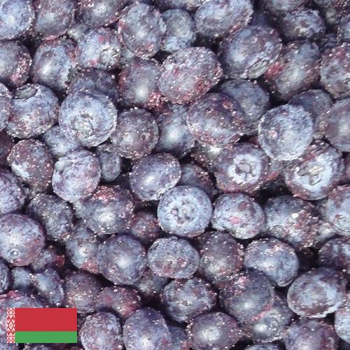 черника замороженная из Беларуси