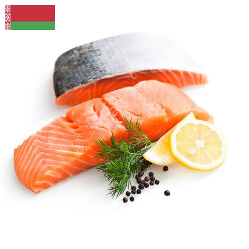Филе рыбы из Беларуси