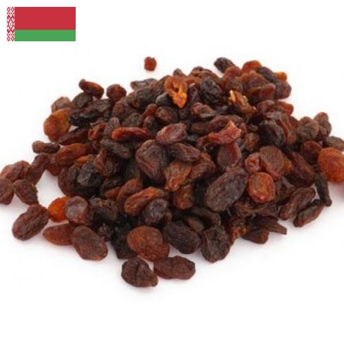 Изюм из Беларуси