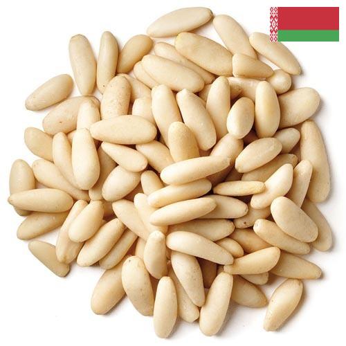 Кедровые орехи из Беларуси