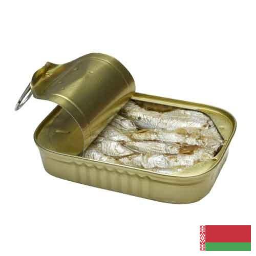 консервы из рыбы из Беларуси