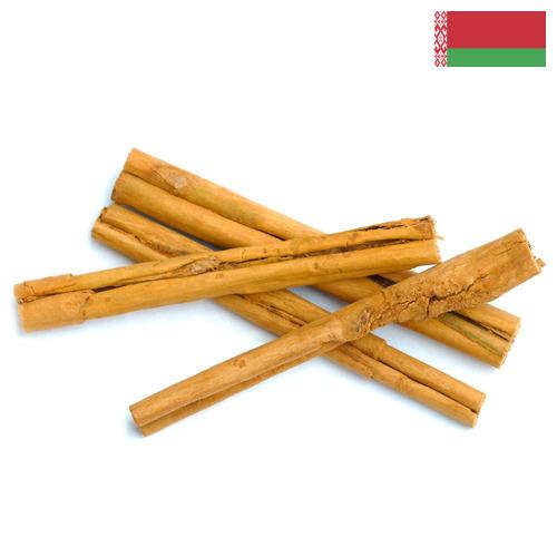 Корица из Беларуси