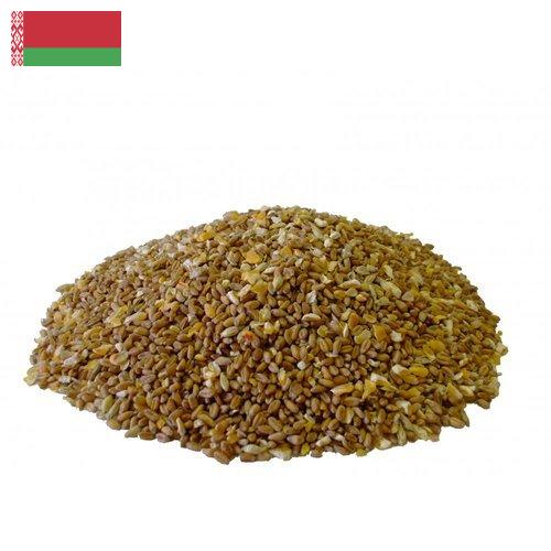 Корма для птицы из Беларуси